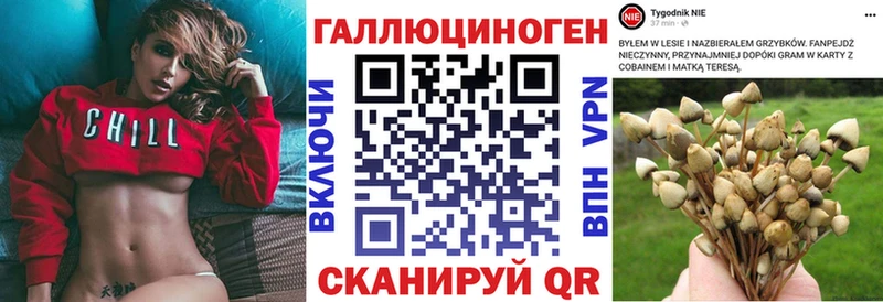 Галлюциногенные грибы Psilocybe  Верхнеуральск 